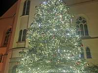 Vánoční strom v Jáchymově - 