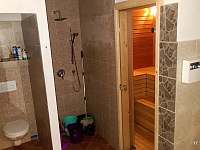 Wc / sprchový kout / sauna - chata ubytování Loučná pod Klínovcem - Háj