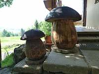 Takové houby tady rostou :-) - Jáchymov - Mariánská