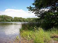 Rybník Mašíňák ( vzdálený jen 150m ) - Dolní Podluží 