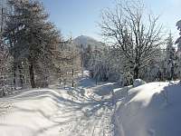 Hora Luž - nejvyšší vrchol Lužických hor v zimě - Mařenice
