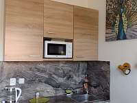 kuchyň - apartmán ubytování Slapy - Ždáň