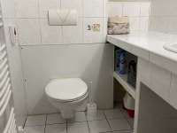 WC - chalupa k pronajmutí Rokytnice v Orlických horách
