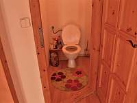 toaleta - apartmán k pronájmu Horní Třešňovec