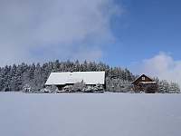 Sněžné v Orlických horách - Chalupa - 7