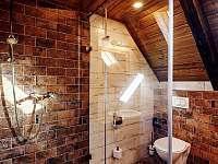 APT Kytička - koupelna (sprcha+WC) - Orlické Záhoří - Jadrná
