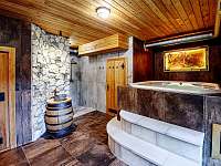 wellness pohled od sauny - apartmán k pronájmu Orlické Záhoří - Jadrná