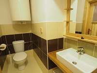 koupelna - WC - apartmán k pronajmutí Zdobnice v Orlických horách
