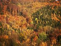 Okolní lesy na podzim - Klimkovice - Hýlov
