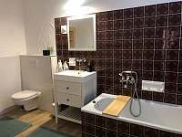 Koupelna s wc - chalupa k pronajmutí Dolní Lomná