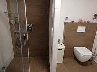Koupelna - apartmán k pronájmu Dolany u Olomouce