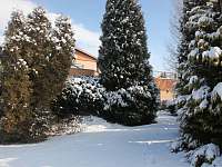 zahrada v zimě - vila k pronajmutí Mladá Boleslav - Čejetice