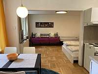 Jídelna, kuchyň a obývací ložnice v apartmánu - ubytování Poděbrady