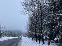 okolní lesy zima - Janovická Lhota