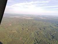 Okolní lesy - Nový Jáchymov