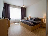 Ložnice s manželskou postelí - Sedlec - Prčice