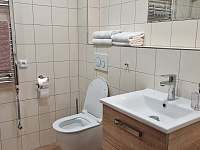 Hotelový pokoj koupelna - apartmán k pronajmutí Klučov