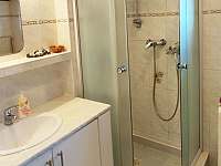 Koupelna se sprchovým koutem a pračkou - chata k pronajmutí Mnetěš