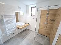 Apartmán A2 koupelna - k pronájmu Horní Planá - Hory