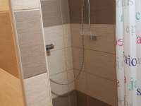 sprchový kút - apartmán k pronajmutí Janovice nad Úhlavou - Dubová Lhota