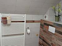 WC v apartmánu - k pronajmutí Kašperské Hory