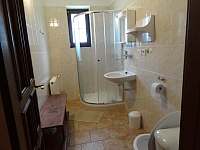 Koupelna se sprchovým koutem v malém apartmánu - Annín