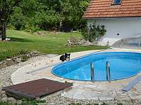 Bazén s naším Svenem - chalupa k pronájmu Hořice na Šumavě