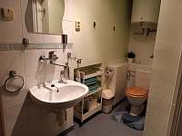 Koupelna s umyvadlem, sprchovým koutem a WC. - pronájem apartmánu Teplice nad Metují