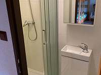 Koupelna se sprchovým koutem a WC v zeleném pokoji - Červená Voda - Mlýnický Dvůr