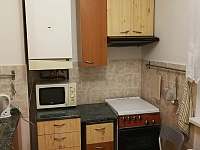 kuchyně prázdninového ubytování - apartmán k pronajmutí Litomyšl