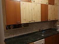 kuchyně prázdninového ubytování - pronájem apartmánu Litomyšl