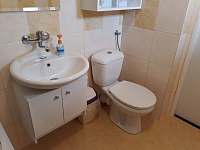 Koupelna s umyvadlem, sprchovým koutem a WC - Střítež u Poličky