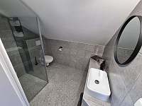 Koupelna s toaletou - apartmán ubytování Linhartice