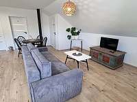 Obývací místnost s kuchyňskou linkou - pronájem apartmánu Linhartice