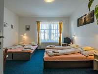 1. ložnice v apartmánu v přízemí - vila k pronájmu Dvůr Králové nad Labem