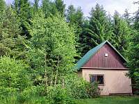 Na samotě u lesa - chata ubytování Humpolec - Plačkov - 9
