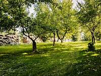 zahrada - část ovocný sad - Vilémov u Golčova Jeníkova