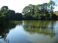 Náš rybník, možnost rybaření - pronájem chaty Mirošov