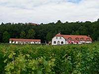Vinařství v okolí - apartmán k pronájmu Kojetice na Moravě