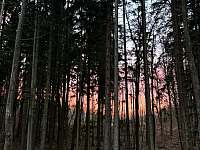 Les za chatou - západ slunce - Včelákov - Bystřice