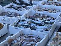 Nabídka čerstvých ryb v přístavu - Itálie