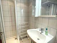 Koupelna se sprchovým koutem a WC - apartmán k pronajmutí Tauplitz - Rakousko