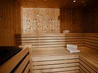 Sauna ve wellness - pronájem apartmánu Alpendorf - Sankt Johann im Pongau, Rakousko