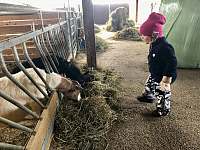 Farma se zvířatky Göstling - Wildlapen - Rakousko