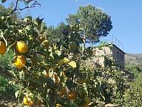 Z tůry si přinesete batoh padaných citronů a pomerančů - Lanjarón, Andalusie, Španělsko