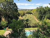 Bazén s olivovým hájem - vila ubytování Casale Marittimo