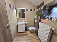 Apartmán 1 koupelna v patře - Nové Mitrovice - Nechanice