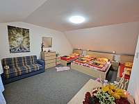 Apartmán 1 ložnice v patře dub - Nové Mitrovice - Nechanice