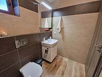 Apartmán 2 koupelna v patře - Nové Mitrovice - Nechanice