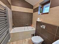 Apartmán 2 koupelna v patře - pronájem chalupy Nové Mitrovice - Nechanice